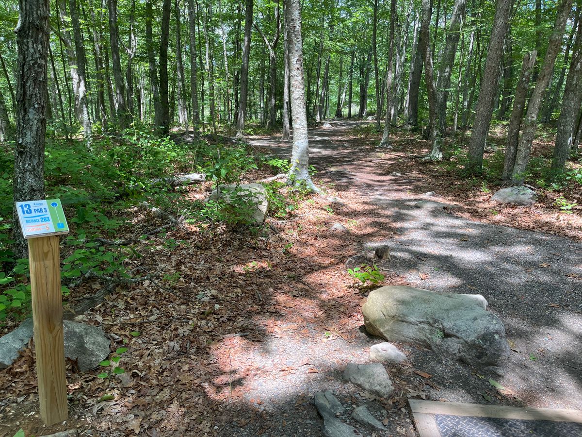 Hole 14