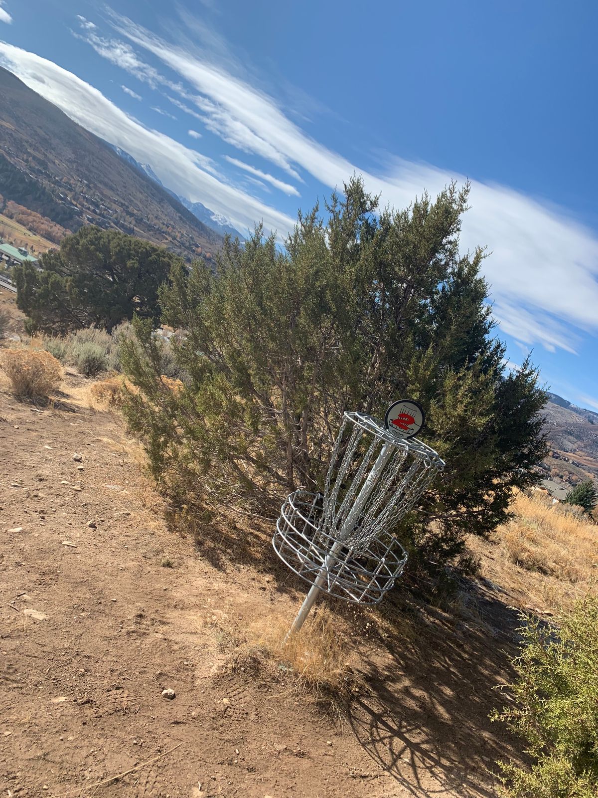 View of hole 2 pin. Most of the pins at this course are strategically positioned behind trees.