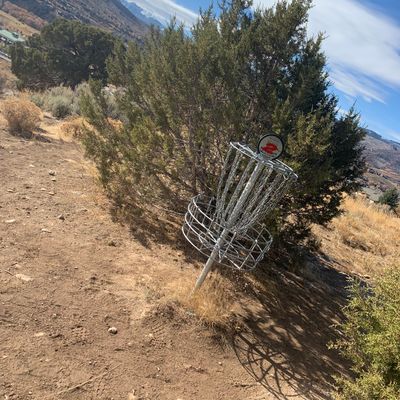 View of hole 2 pin. Most of the pins at this course are strategically positioned behind trees.