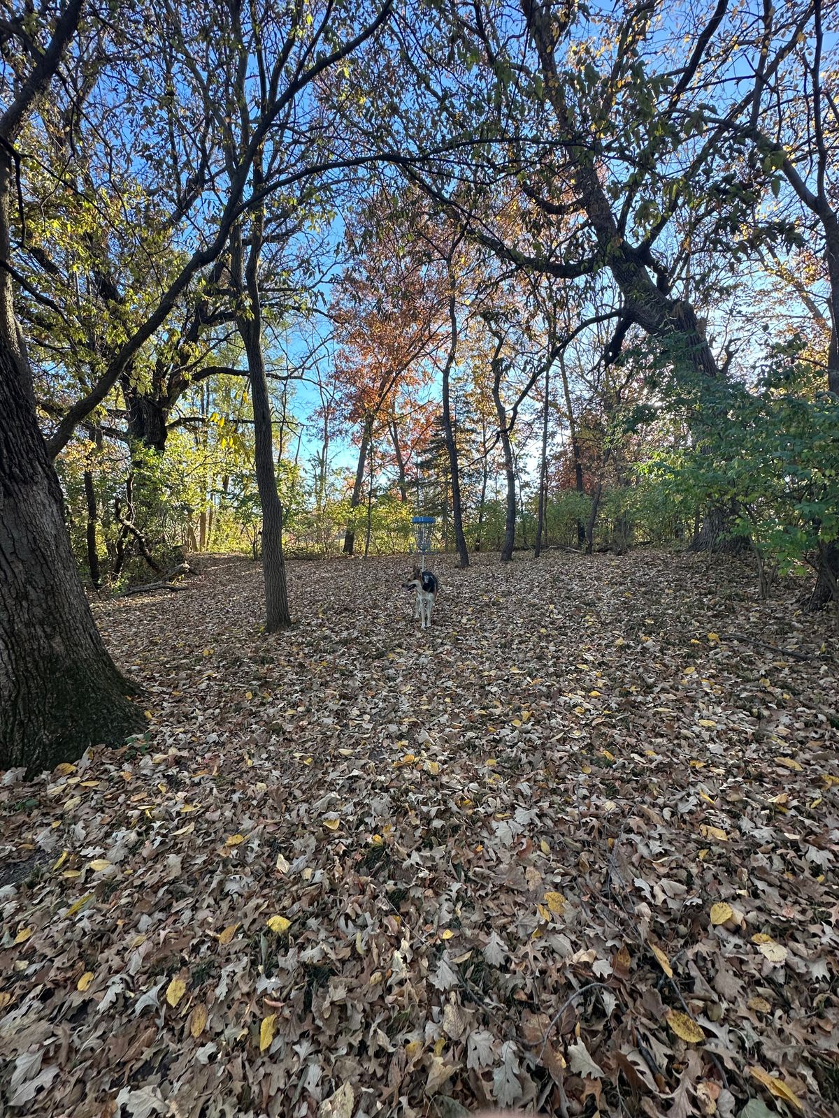 Green on hole 4