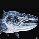 User avatar image
