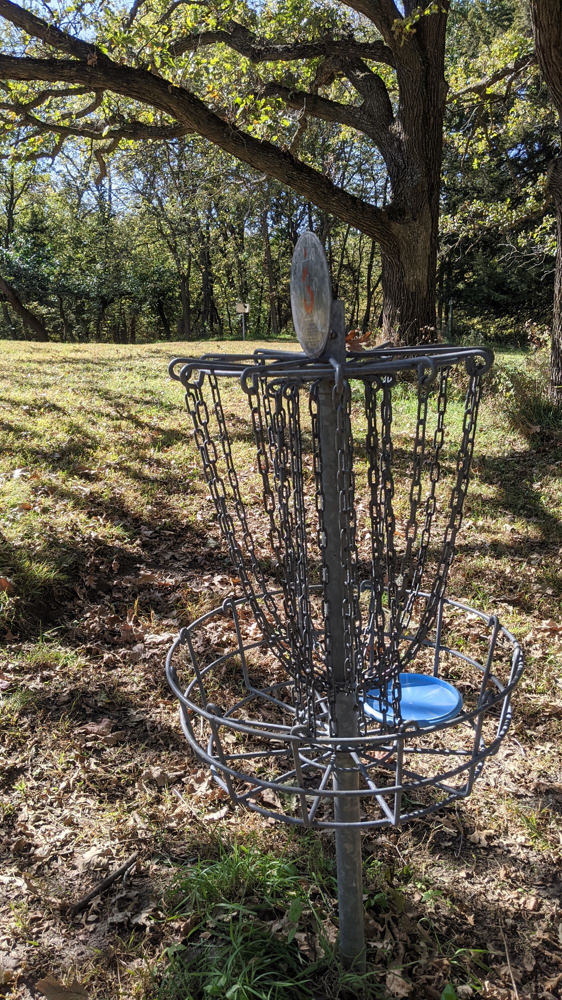 #3 Basket with #4 Tee beyond.