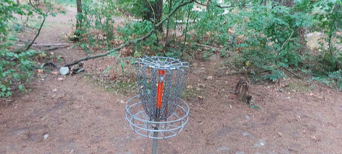 Putting on hole 18.🪵🌿🪵🌿🪵