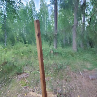 Väyläopaste