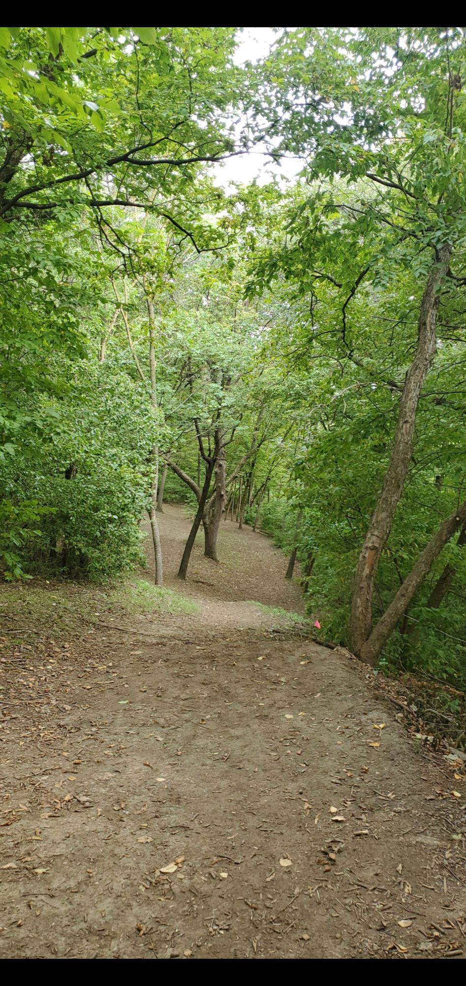 Hole 10