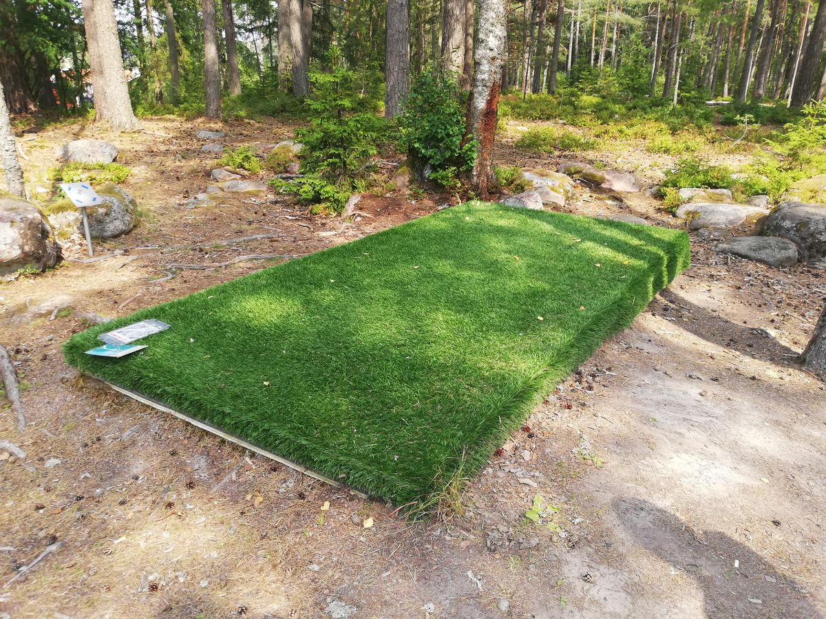 De flesta tees var fina med ny turf, men Röd slinga var prioriterad så ofta hade Gul slinga istället äldre teebox med grå turf.