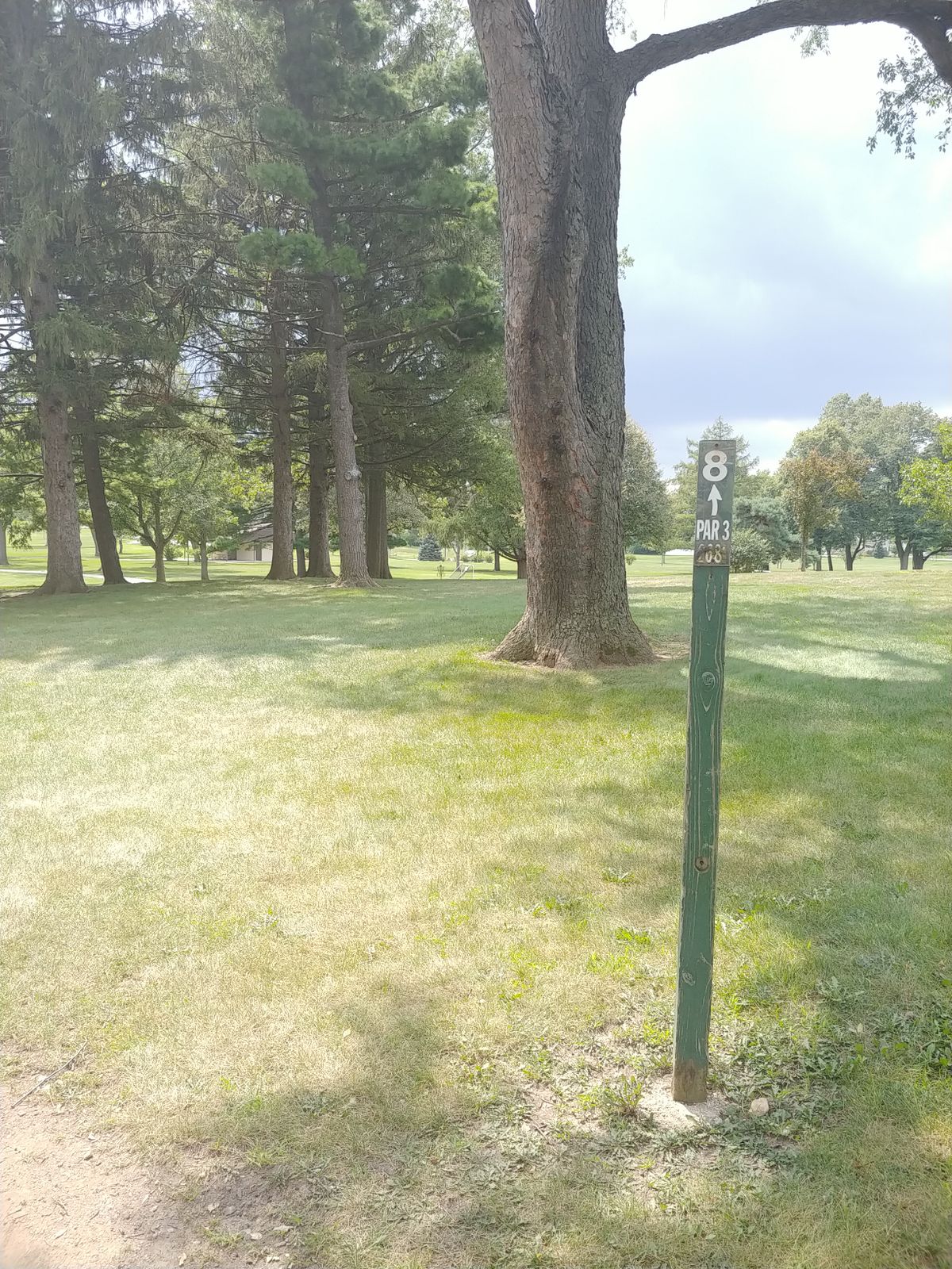 Hole #8