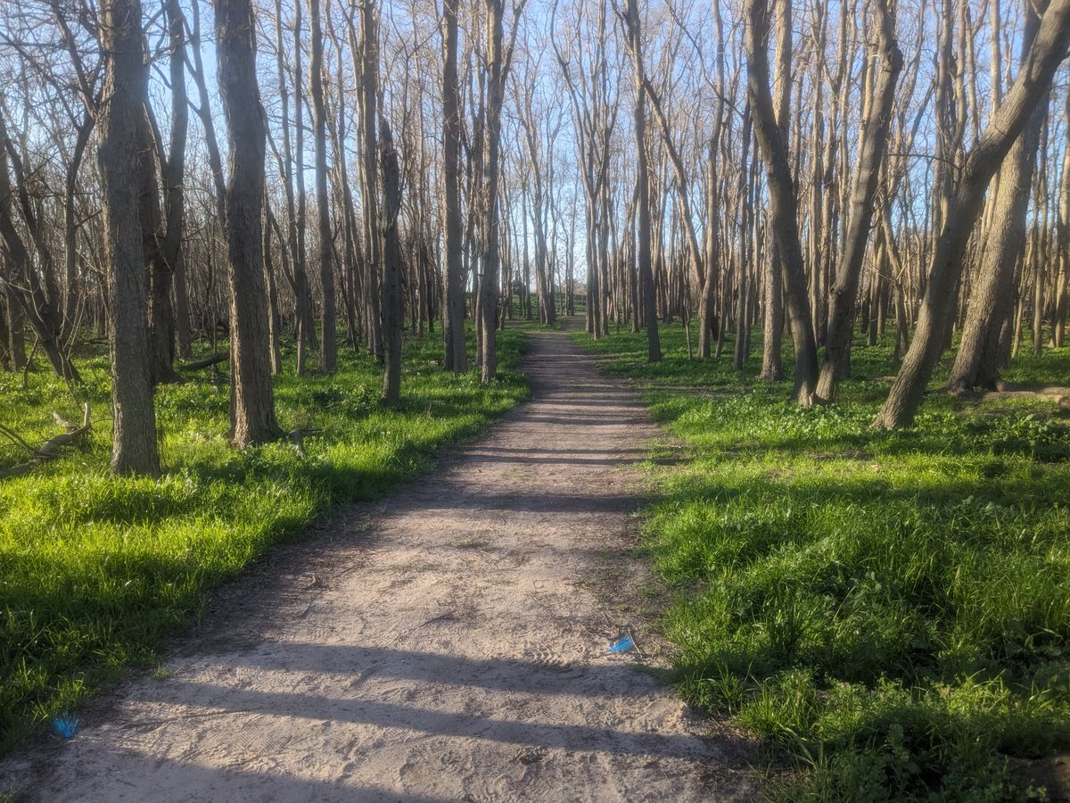 Hole 7 in January, so green!
