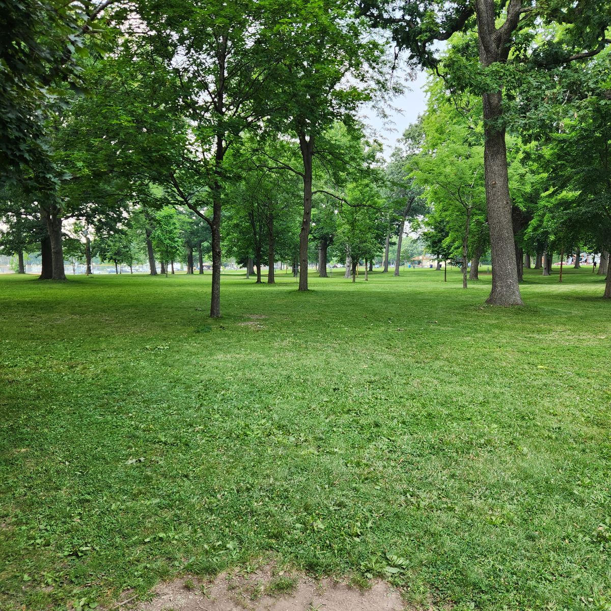 Hole 6
