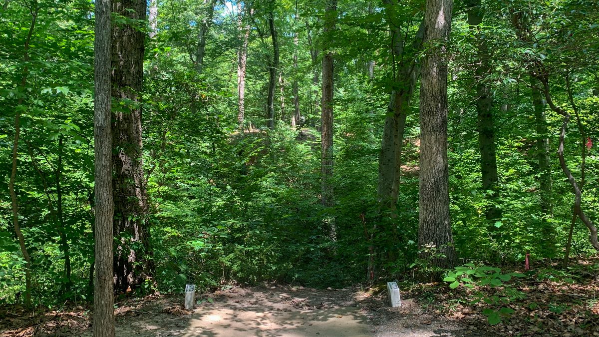 Hole 13