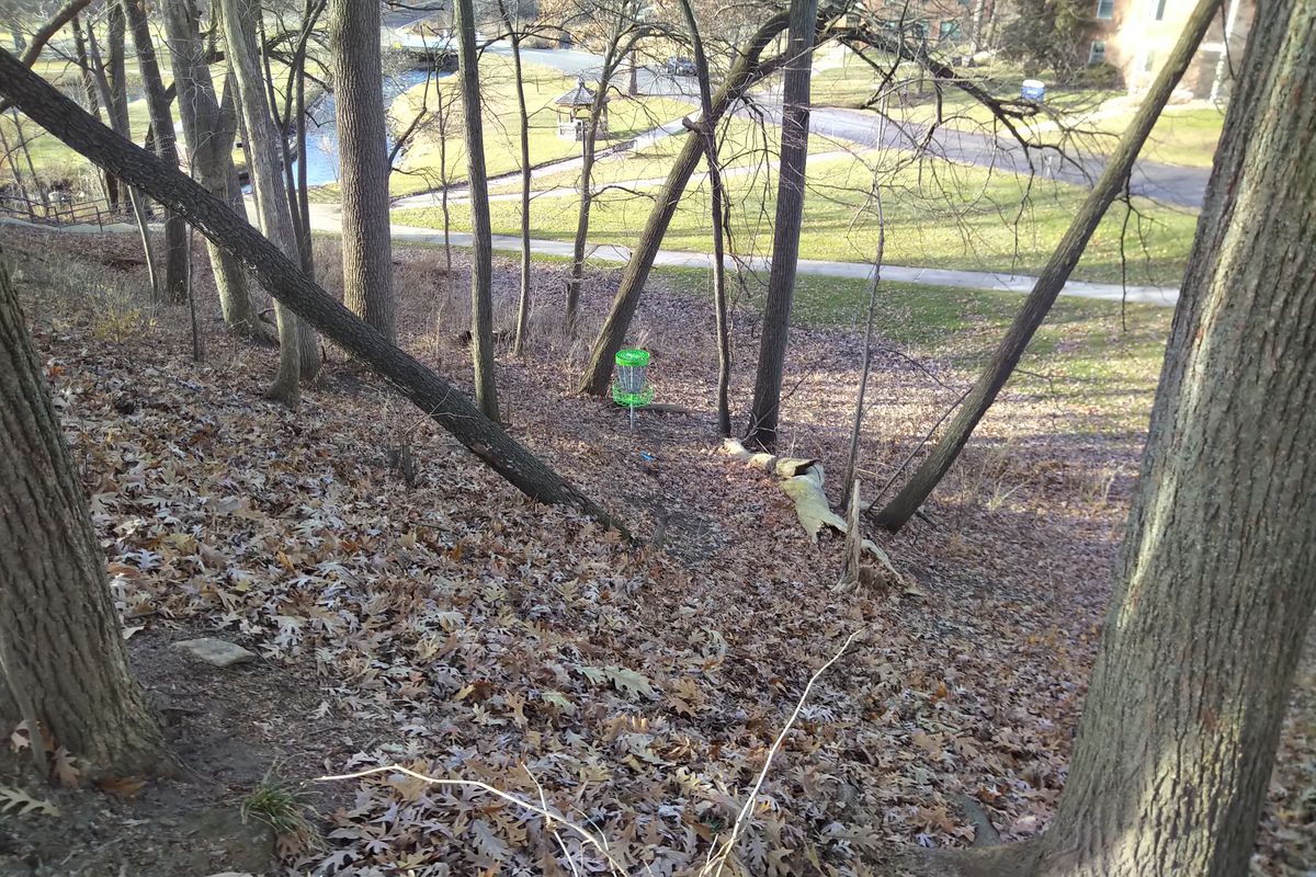 Hole 10 basket