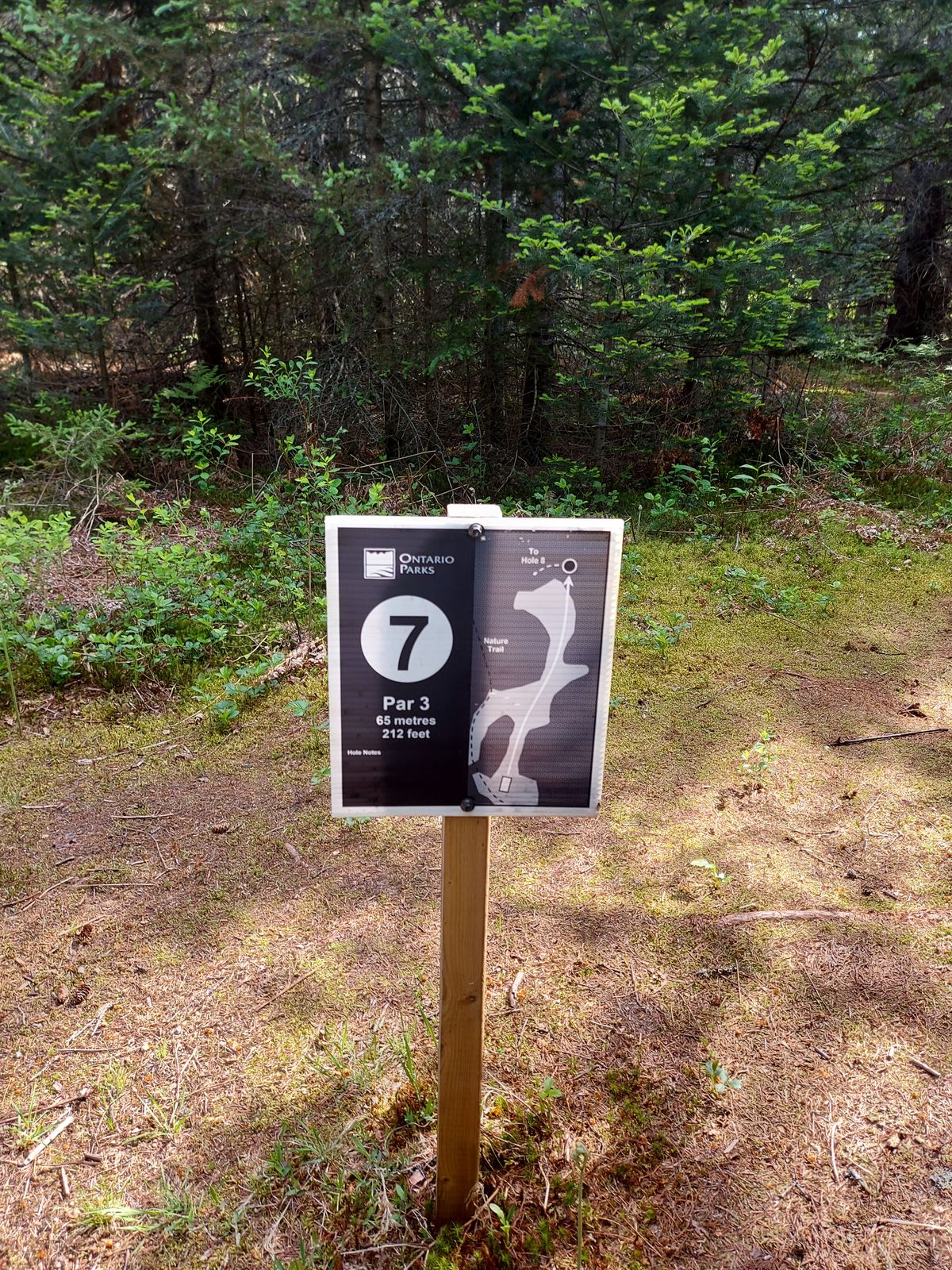 Hole sign 7. 212ft 🍁🌲🍁🌲🍁🌲