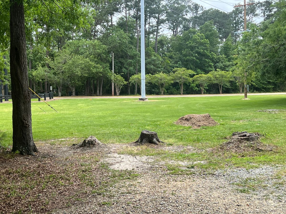 Hole 2 Red