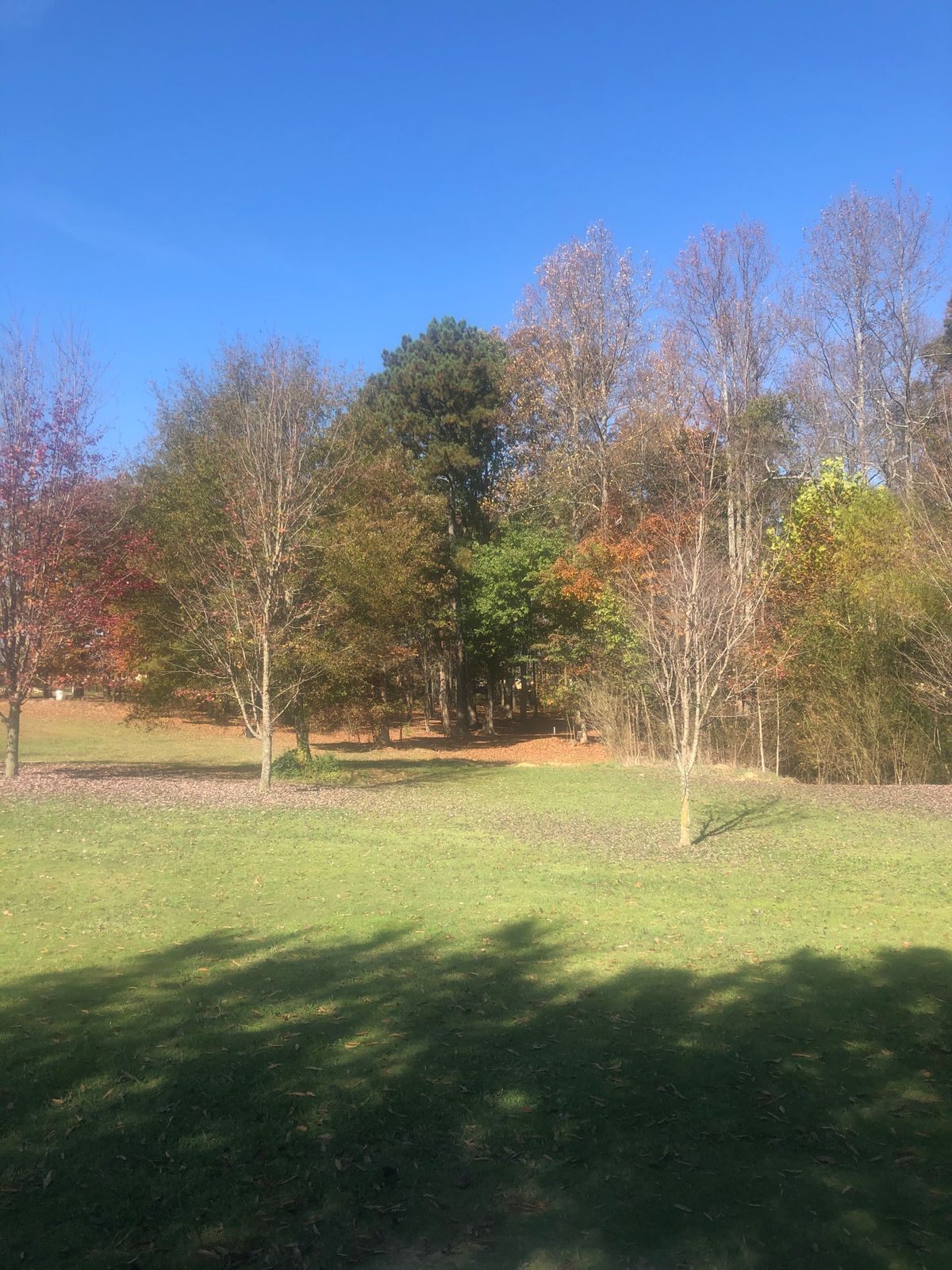 Hole 12