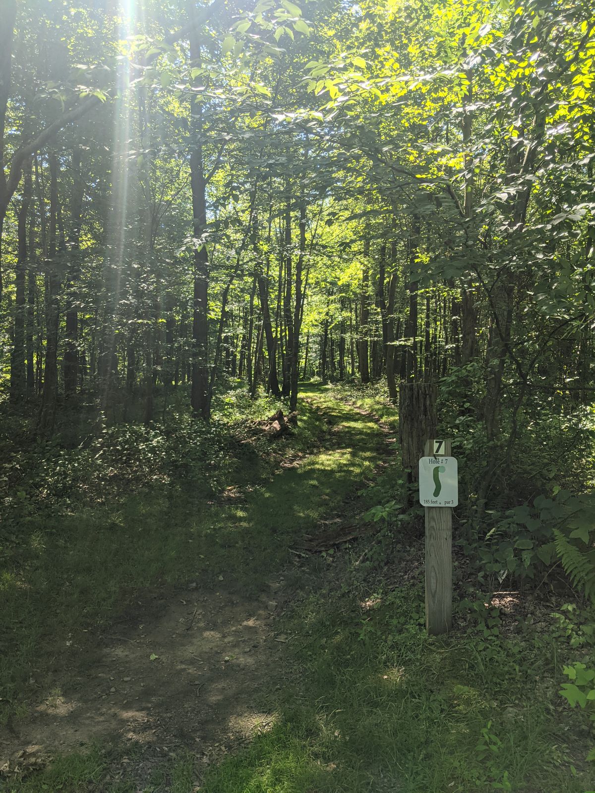 Hole 7 starts the back woods