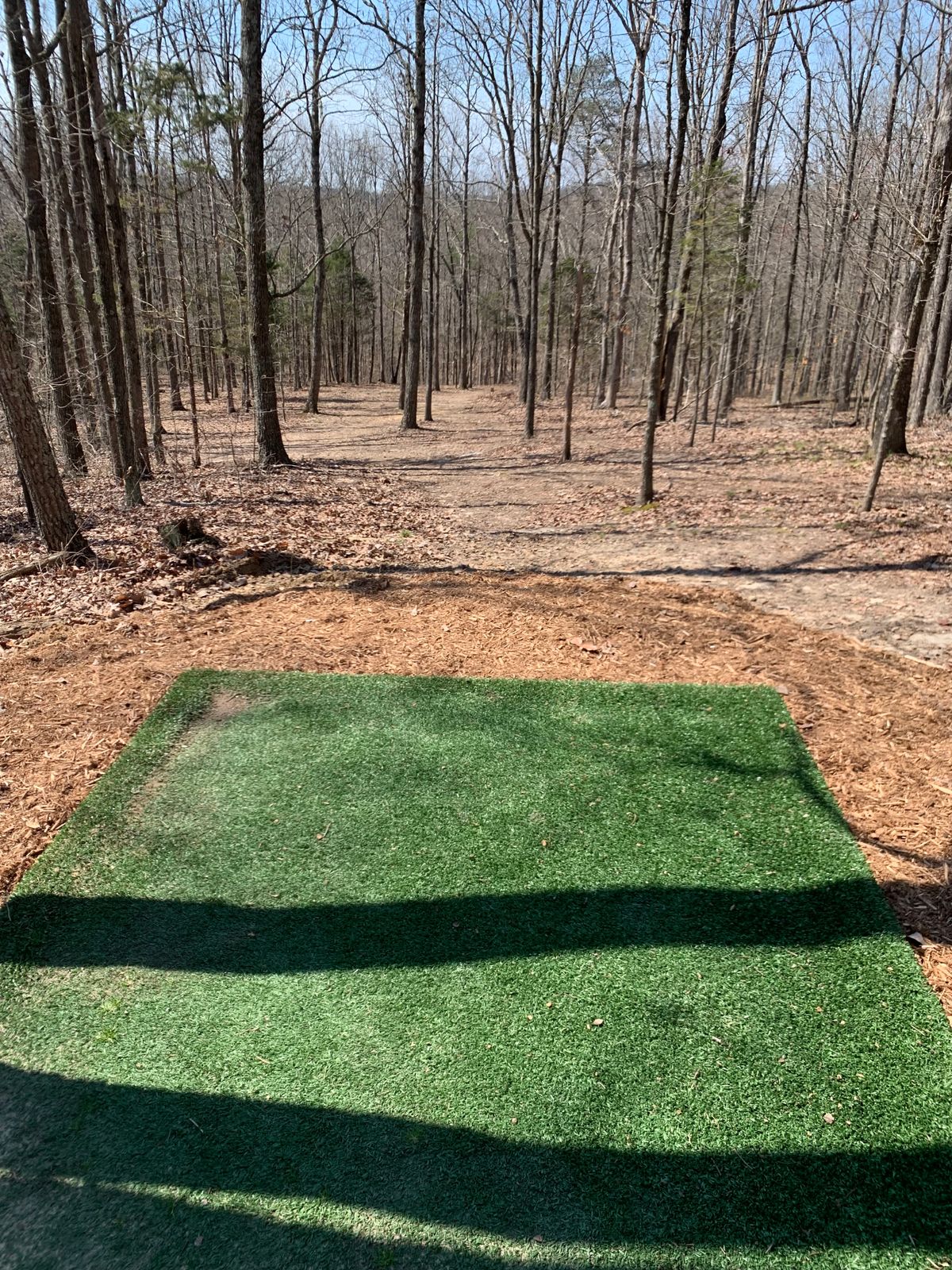 Hole #2, Par 3, 292 ft