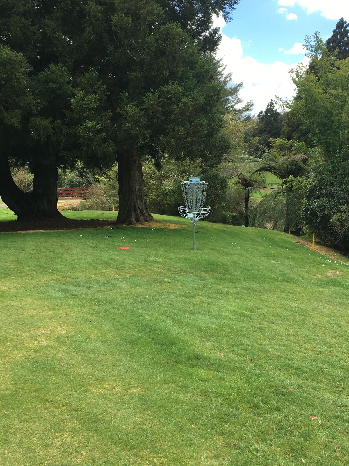 Hole 10 ace