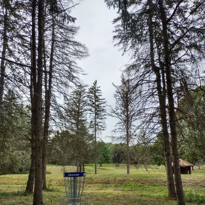 Hole 6 basket