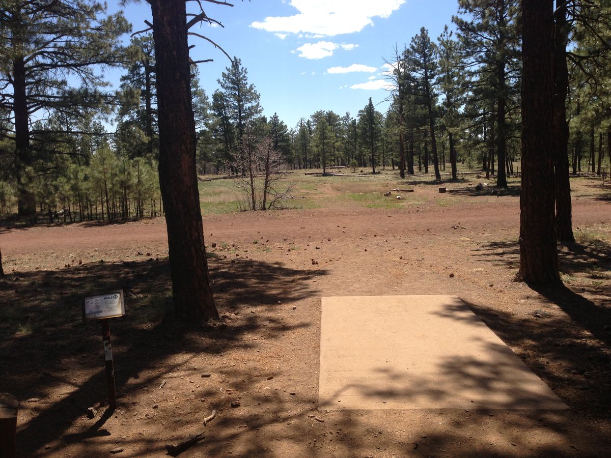 Hole 13