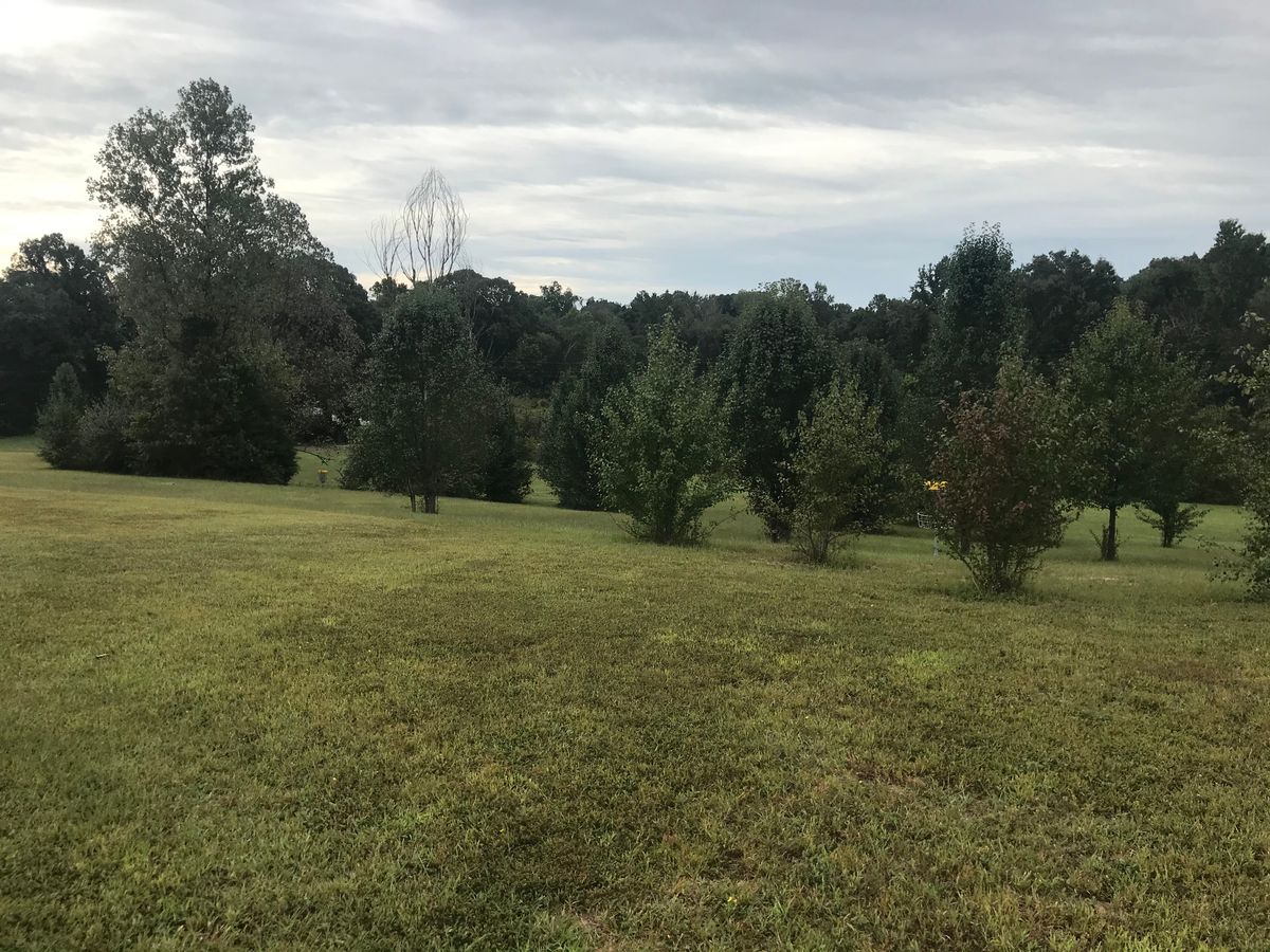 open area of course