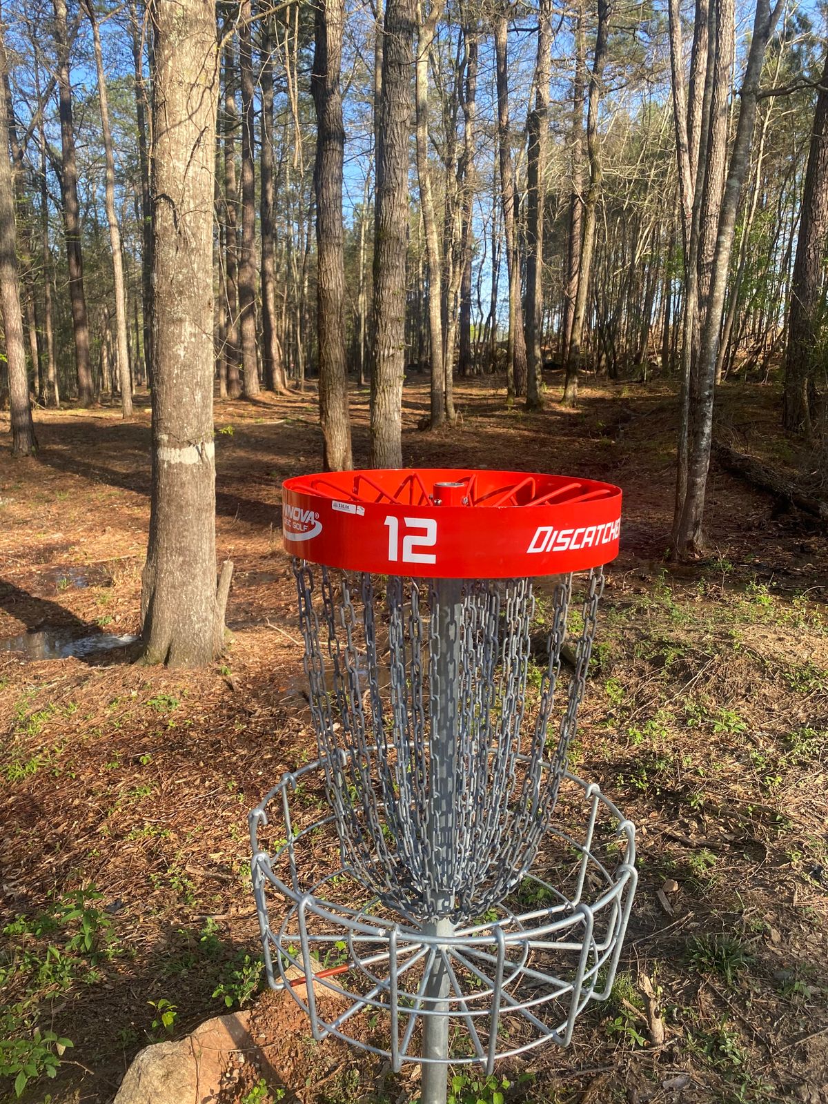 Basket 12