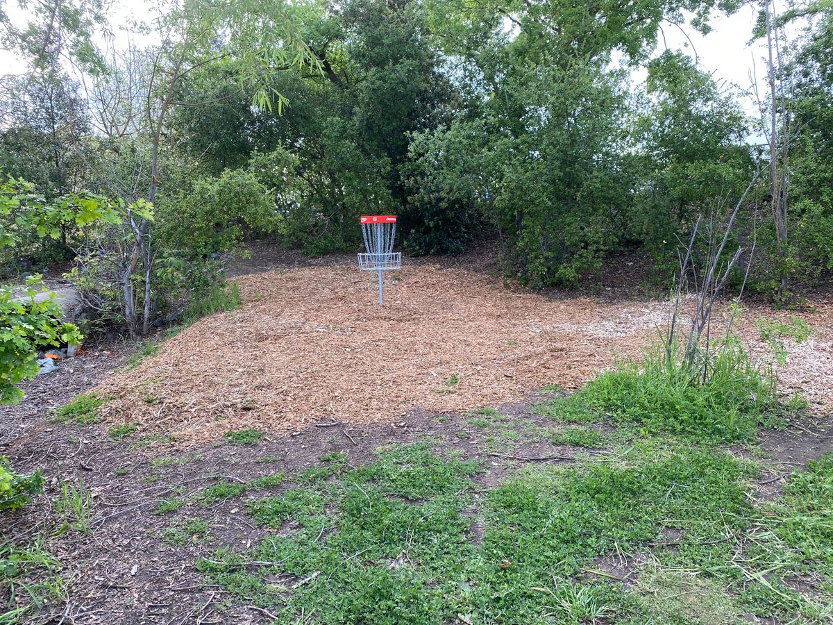 Hole #11 basket