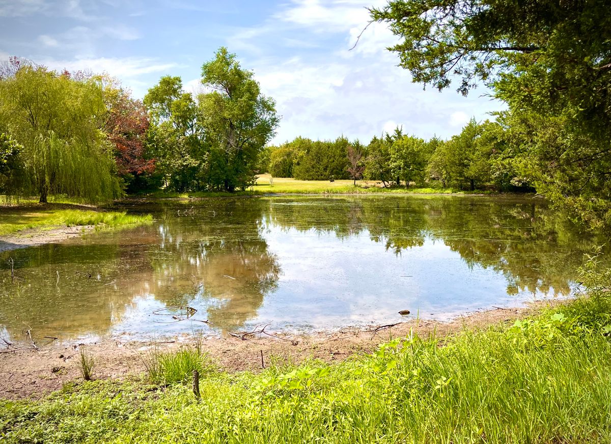 Pond on 11 and 9