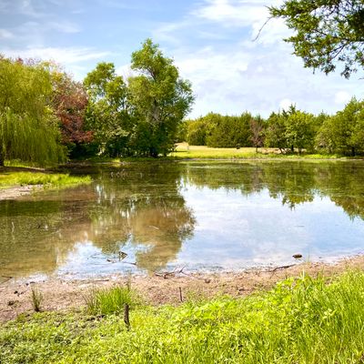 Pond on 11 and 9
