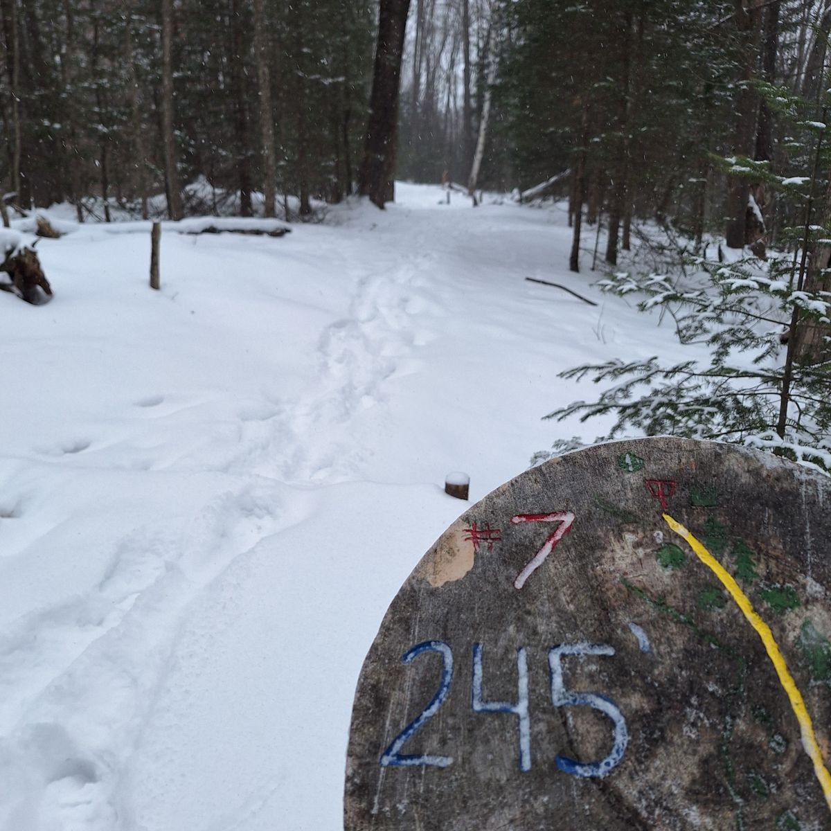 Hole 7, about 6" of snow right now.
