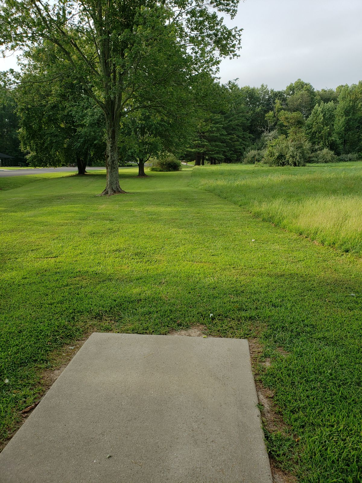 #1 Tee-Pad and Fairway