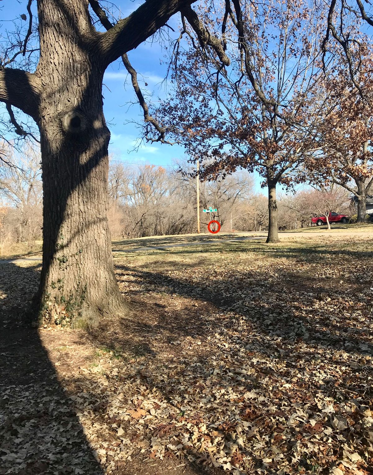 Hole 7 Tee