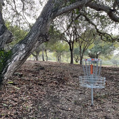 Looking back on basket from hole 7