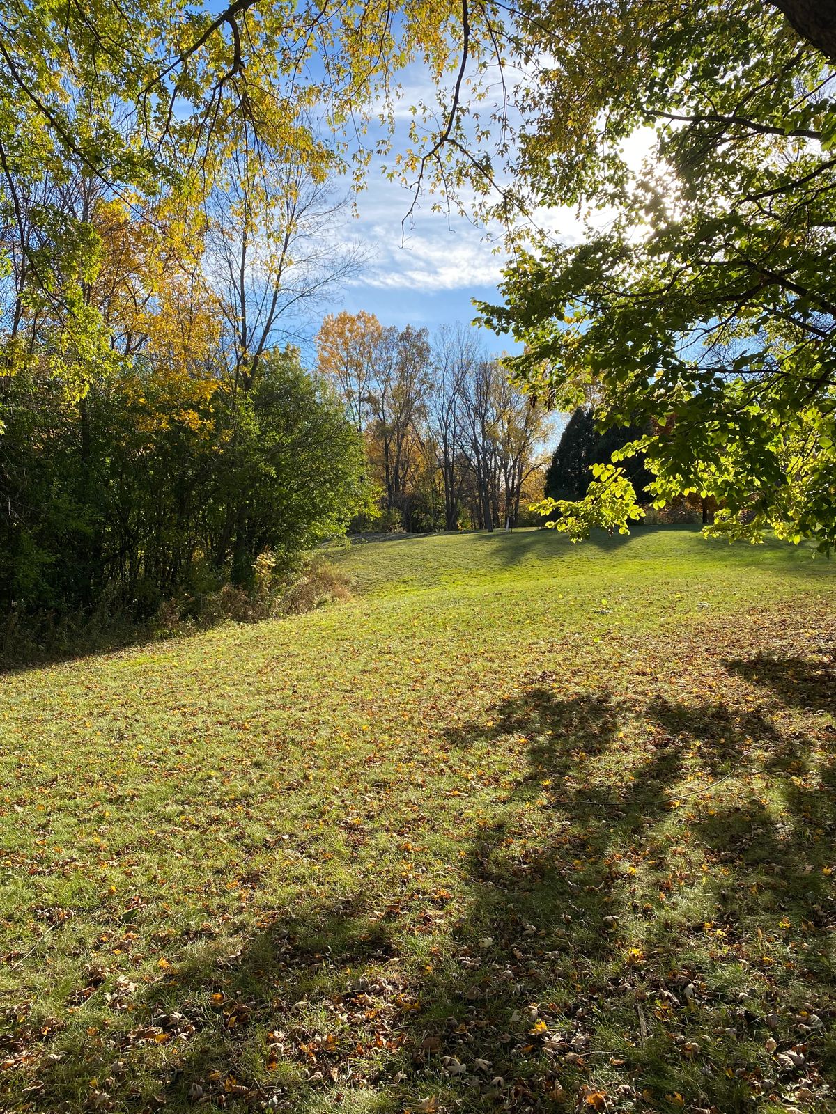 Hole 1 tee