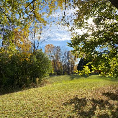 Hole 1 tee