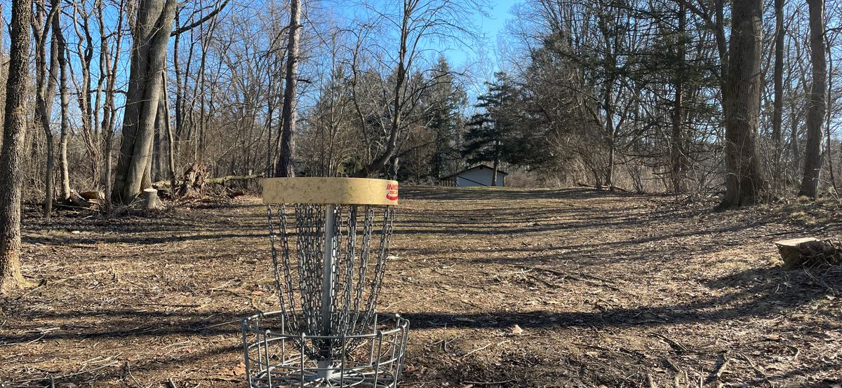 Lots of cut trees on 9,10,11.
