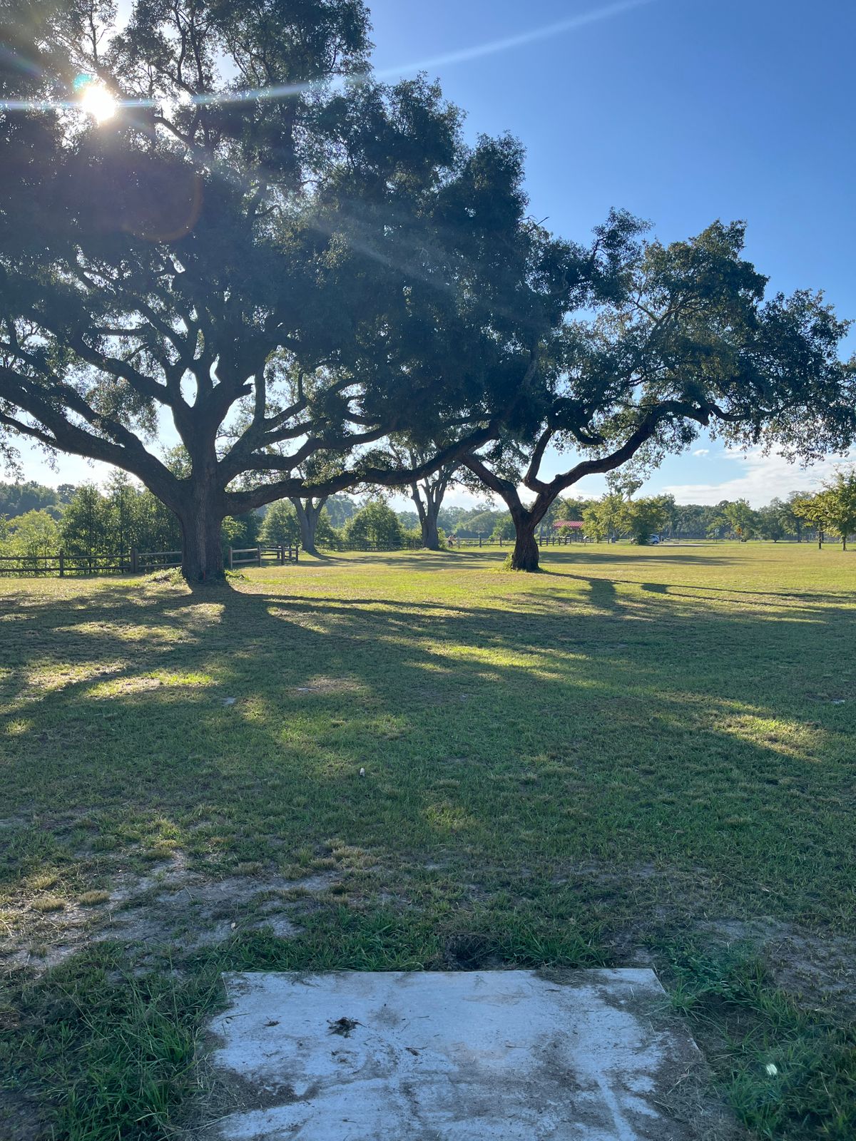 Hole 7 Tee