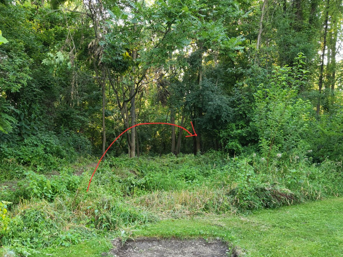 Teeshot on hole 7