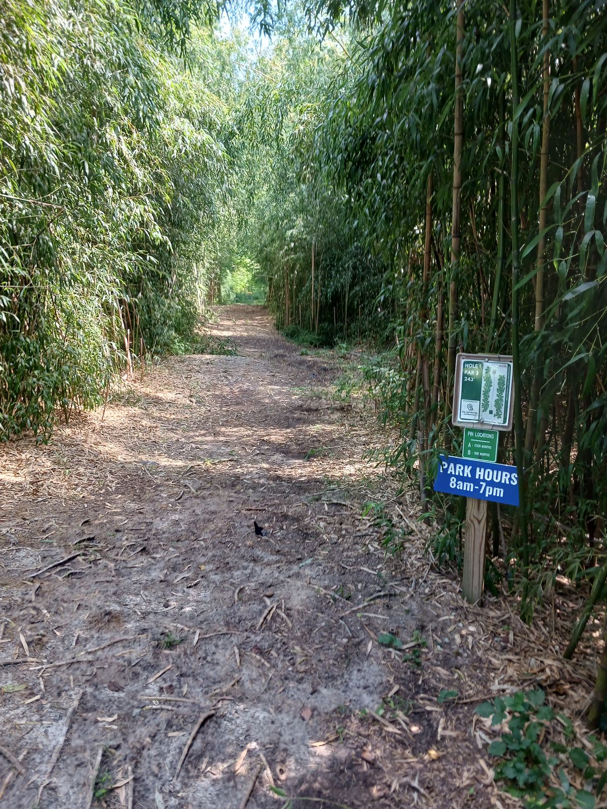 Hole #1