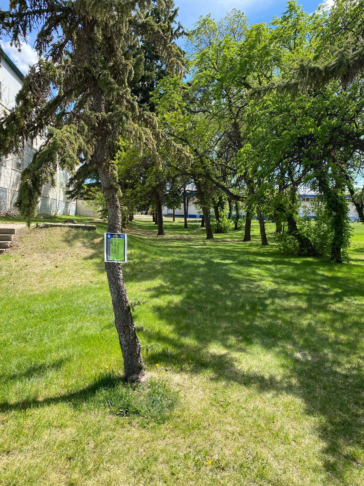Hole 5