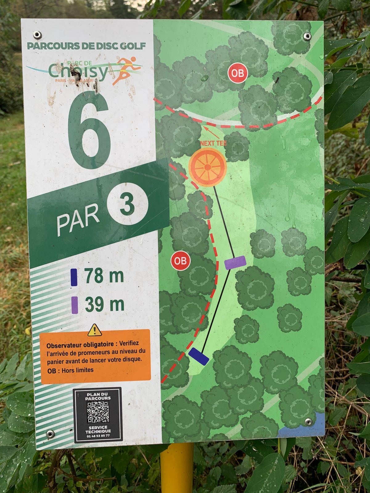 Tee 6