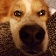 User avatar image