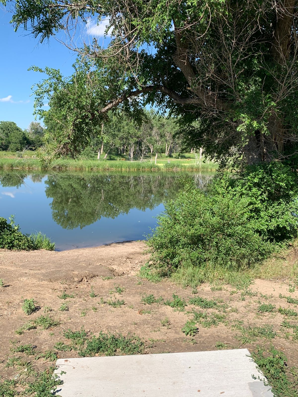 Hole # 4- long tee pad. July 1 2023