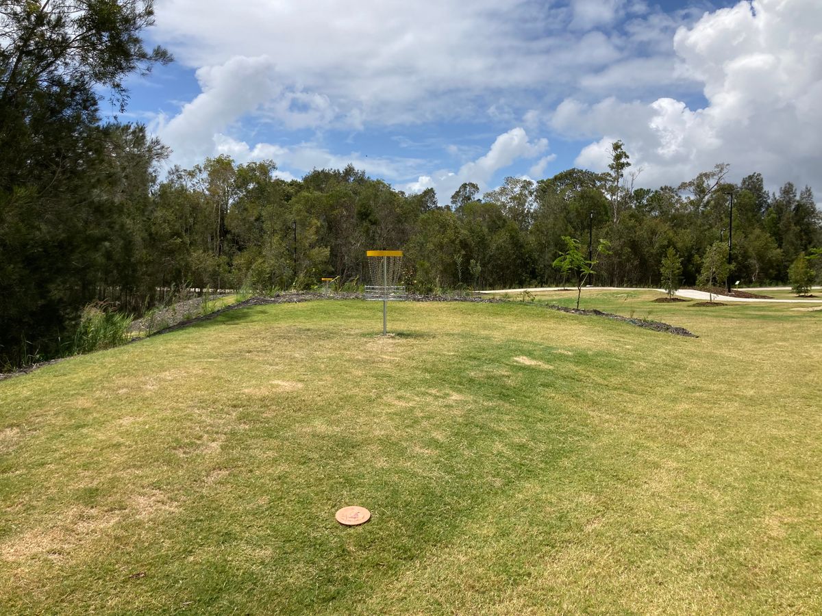Hole 2 basket