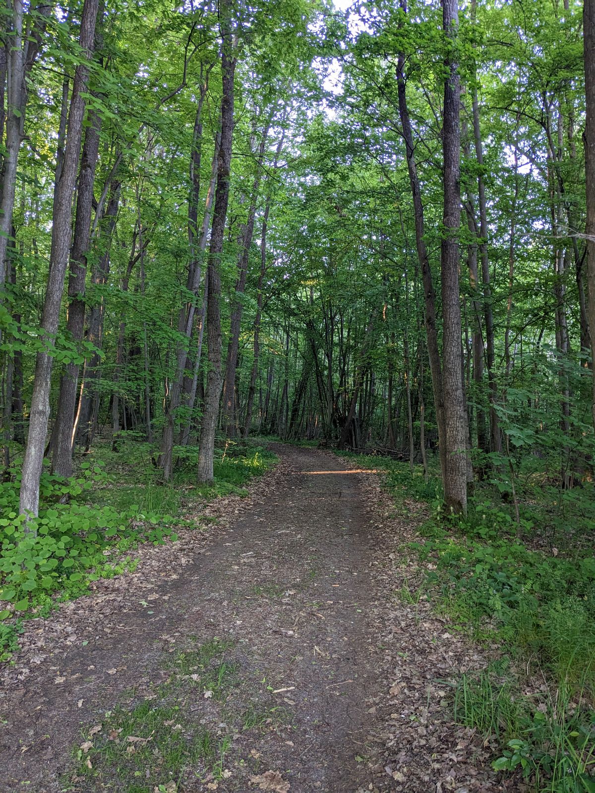 Hole 5