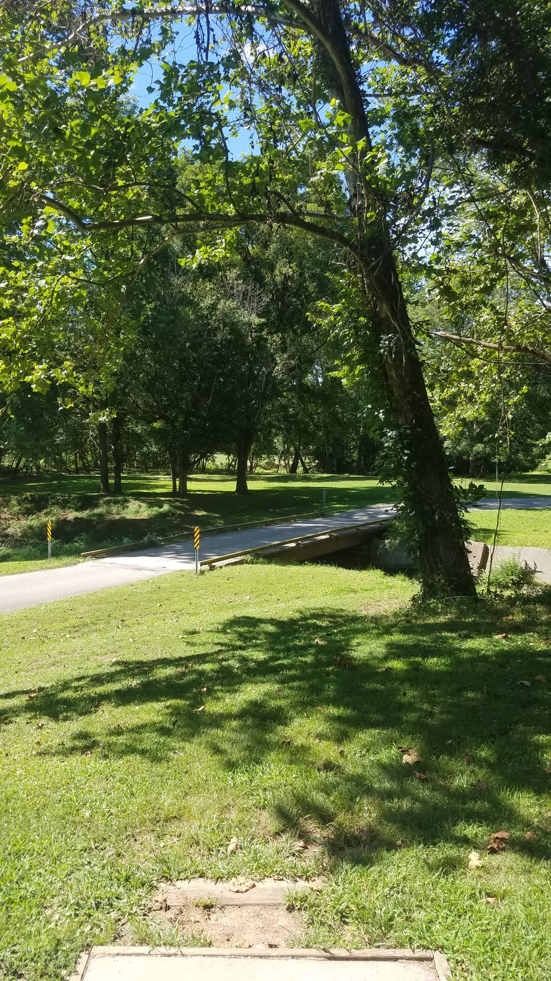 Hole #5 - Short Tee over Buffalo Creek