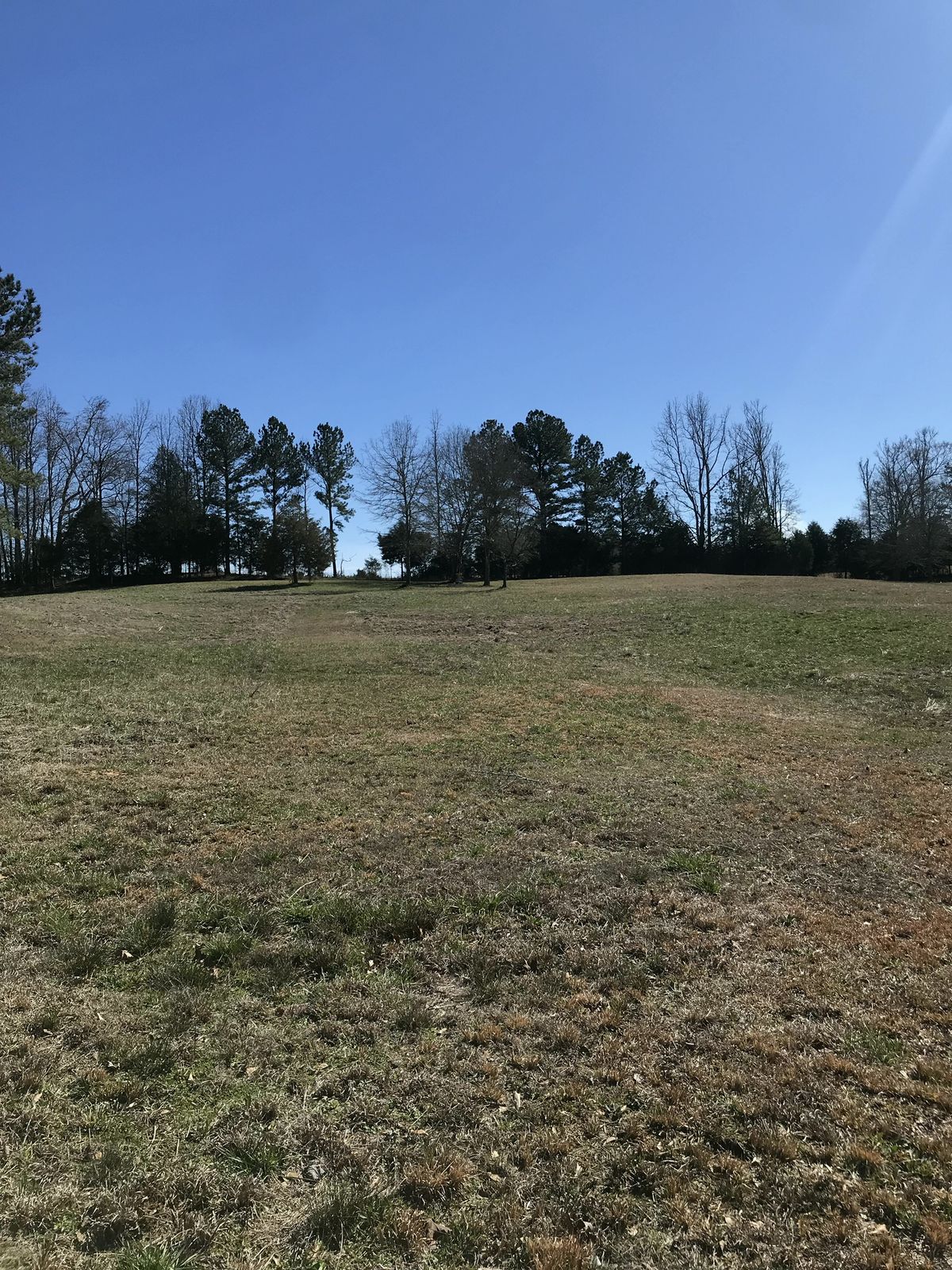 Hole 15 - tee to basket