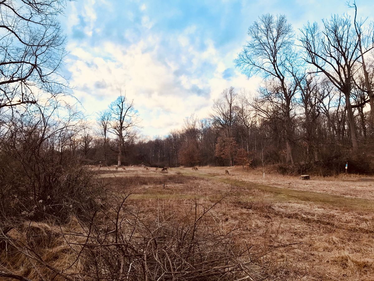 View from #13 up towards #6 fairway