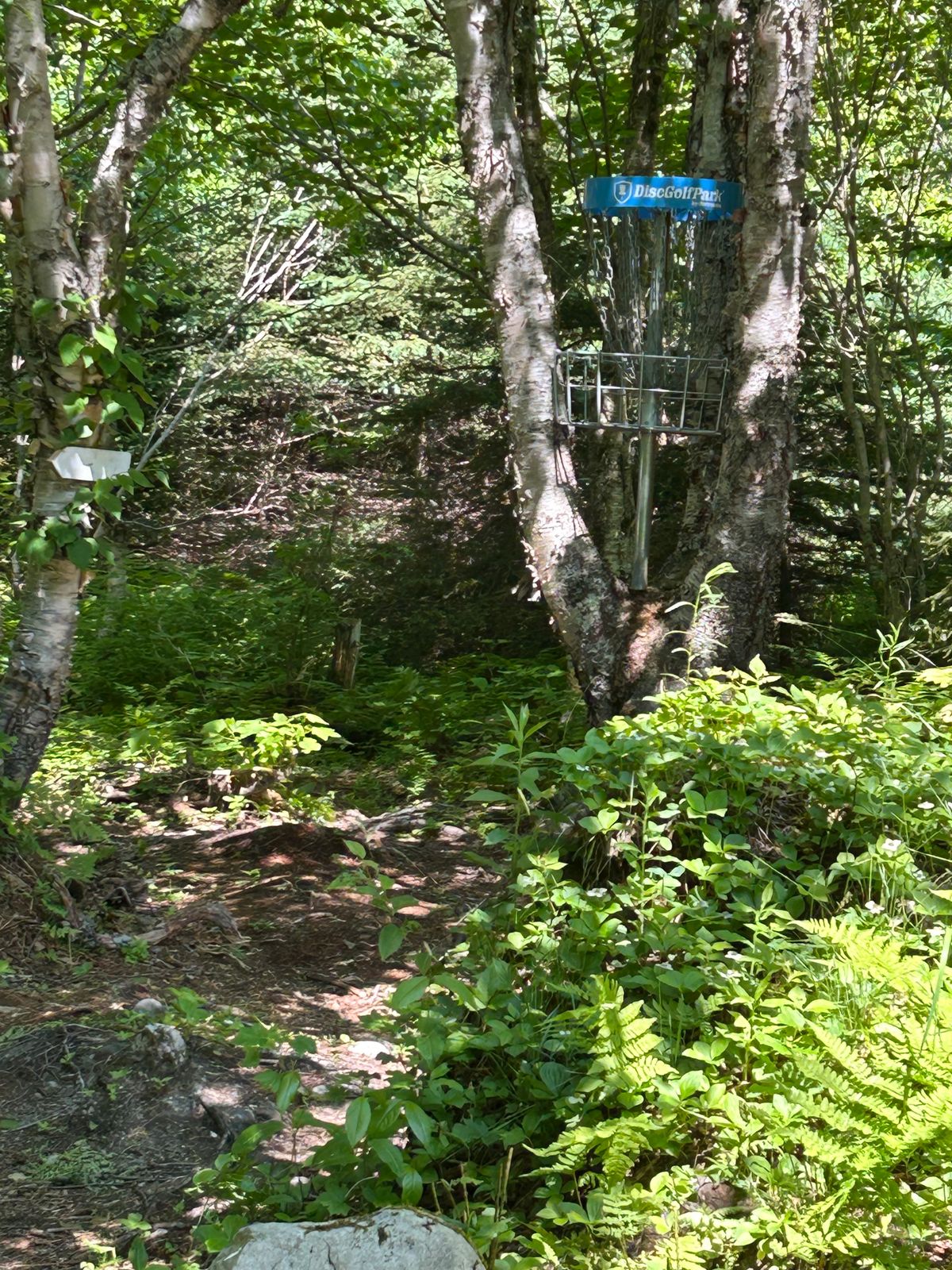 15 tree cage.