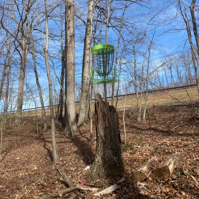 Hole 3 basket