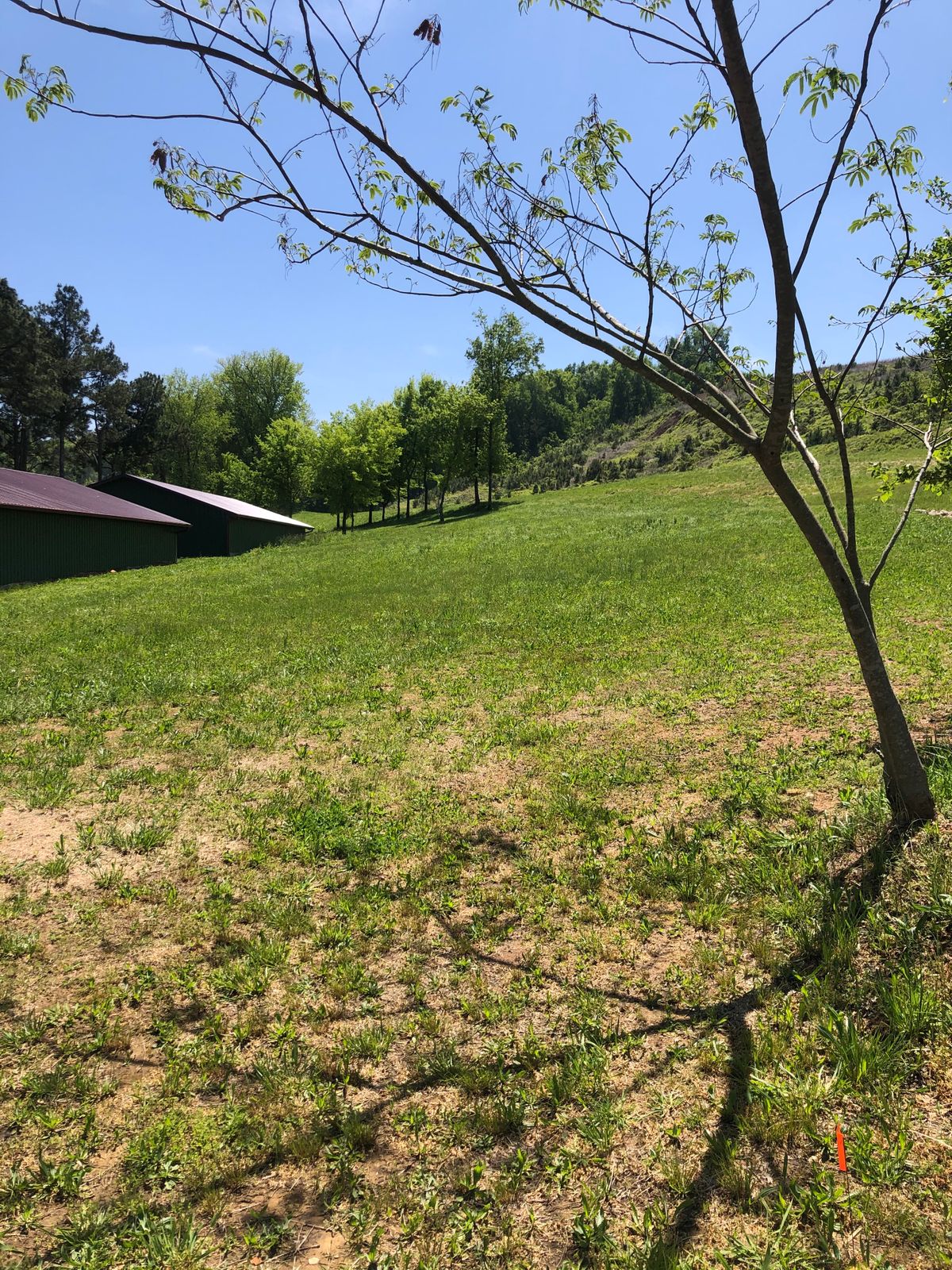 Hole 17